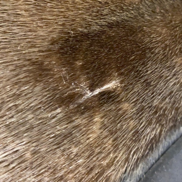 Vintage CAPITOL Brand Fur Ankle Boots Canada 9.5 - Picture 16 of 17